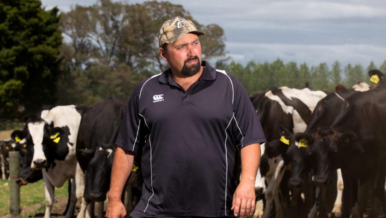 NZ dairy farmer with herd